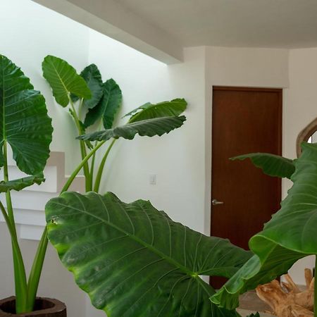 شقة Recamara 5 Tulum كانكون المظهر الخارجي الصورة